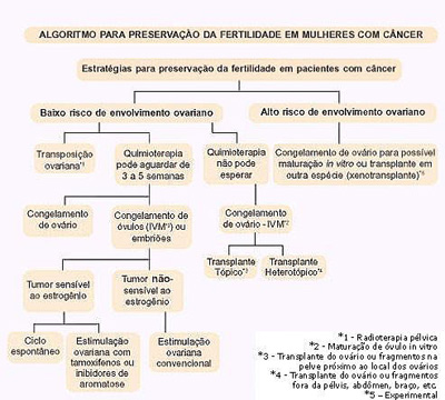 Preservação da fertilidade